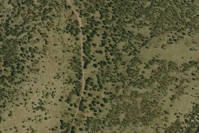 Camp site