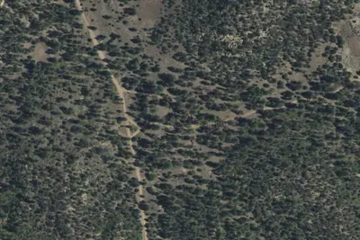 Buzzard Park