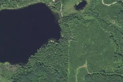Sucker Lake Dispersed Camp site