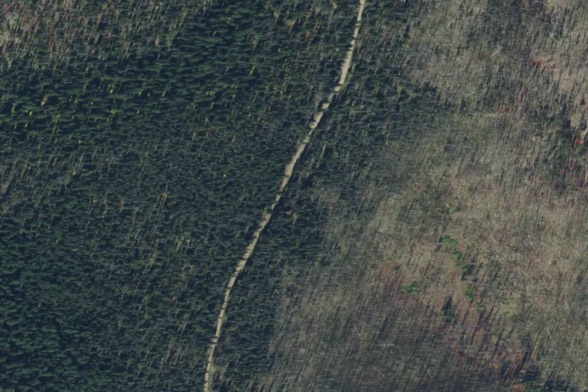 Aerial view
