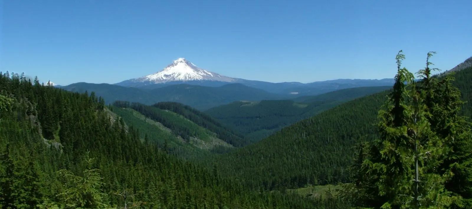Photo of Mt. Hood National Forest
