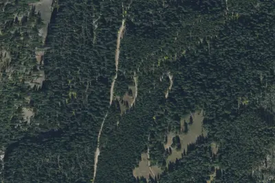 Darroch Creek Road-001