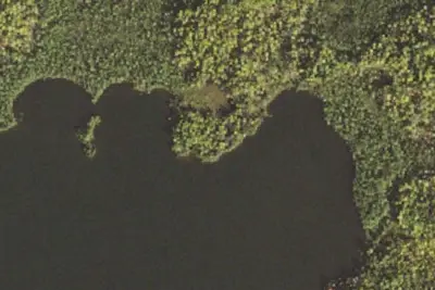 Otto Lake Site 2