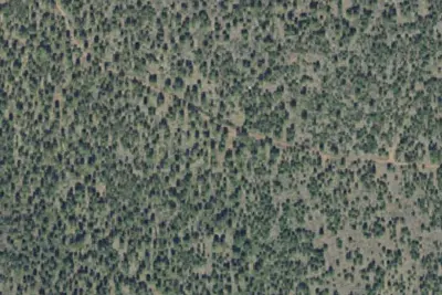 Camp site