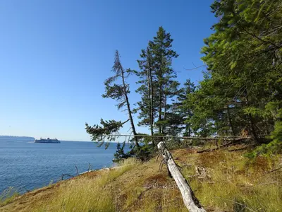 Outlook in Apodaca Provincial Park