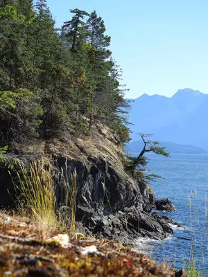 Tree on Outcrop at Apodaca Provincial Park