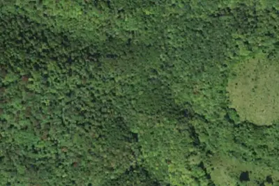 Camp site