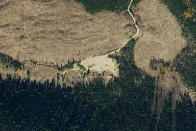 Camp site