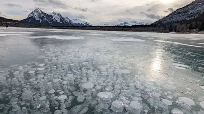 Ice bubble formation at Abraham Lake