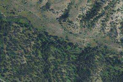 Lava Creek
