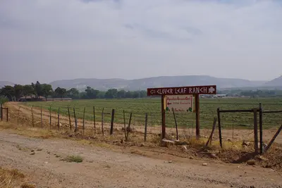 2014, Clover Leaf Ranch - panoramio