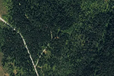 Camp site