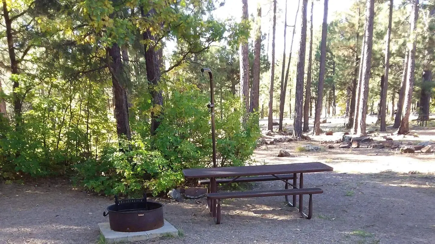 Site 17