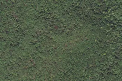 Camp site