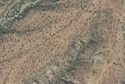 Camp site