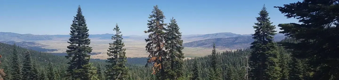 Yuba Pass