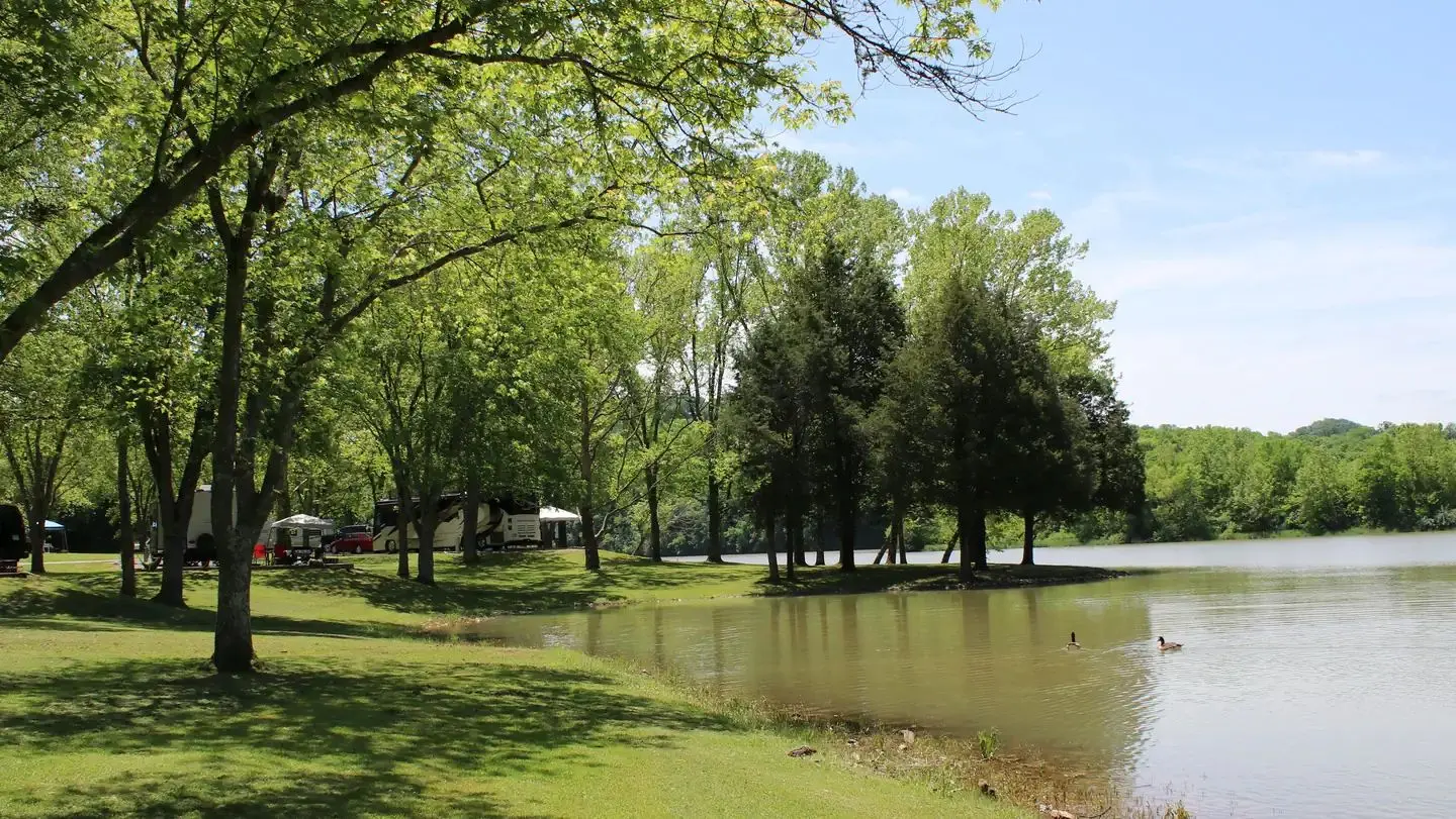Salt Lick Creek