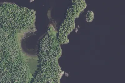 Camp site