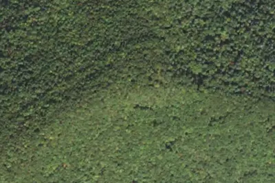 Camp site