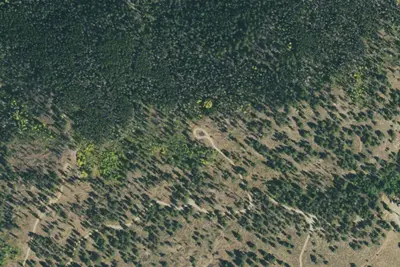 Camp site