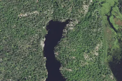 Tee Lake Site 1