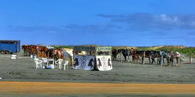 Where's Mr. Ed - panoramio