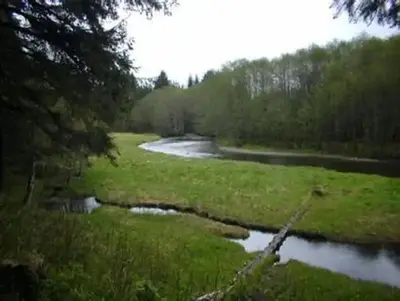 ADMIRALTY COVE CABIN grounds
