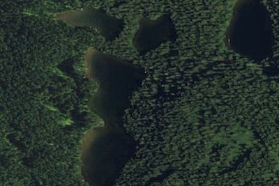 Thomas Lake Campsites