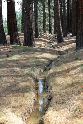 Davis Creek Park - panoramio (24)