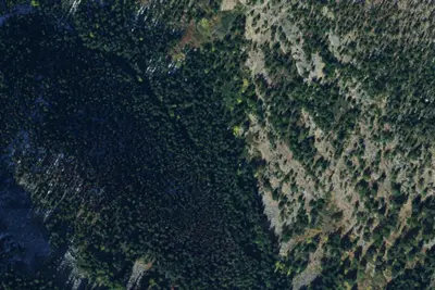 Camp site