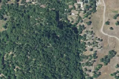 Golden Cup Homestead