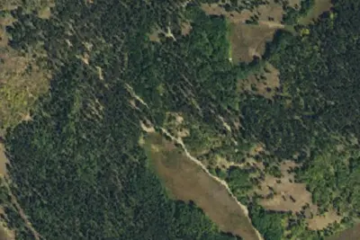 Camp site