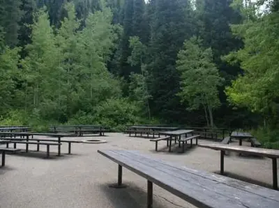 Spruces - Big Cottonwood