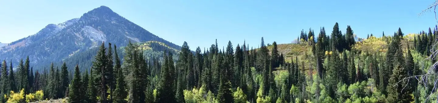Spruces Campground