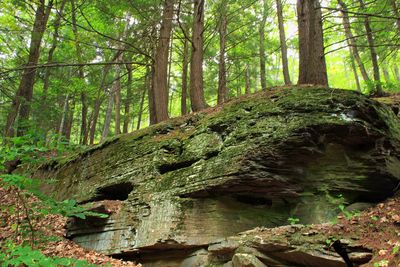 Outcrop (9540416591)