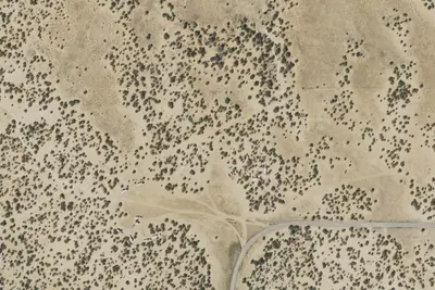 Camp site