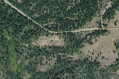 Bangtail Creek-830-03
