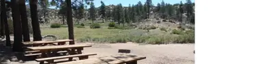 Ironwood Group Camp