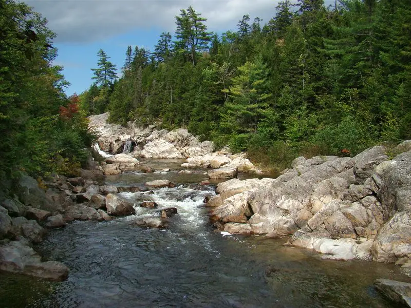 Photo of Fundy National Park