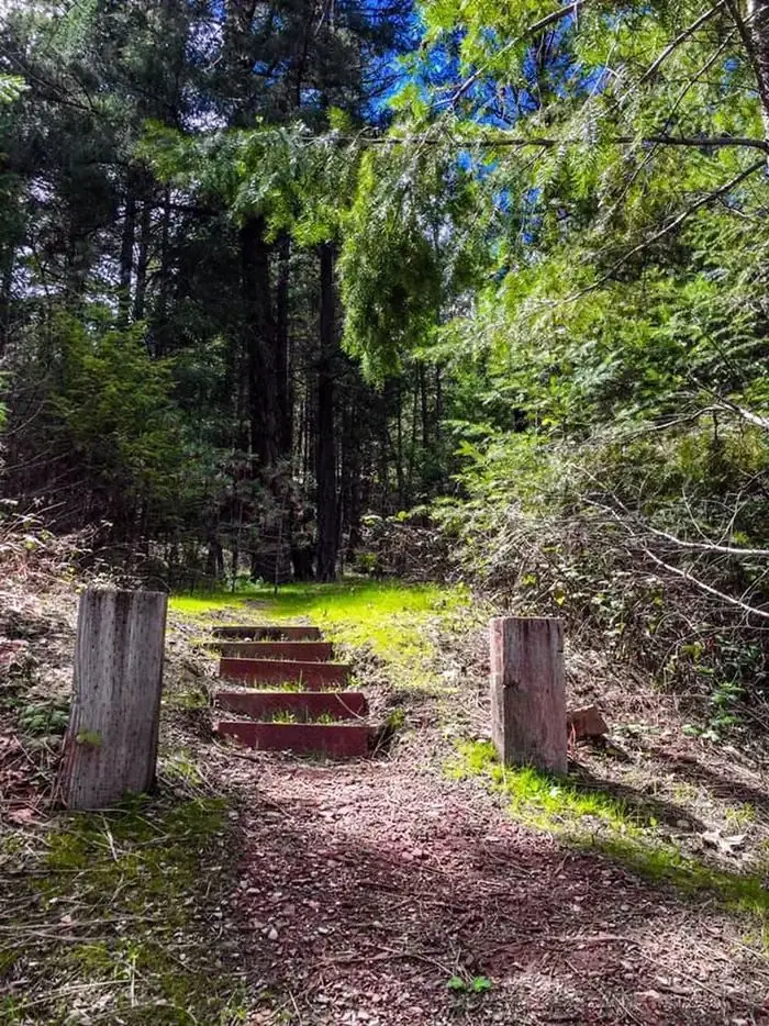 Mary Smith Stairs