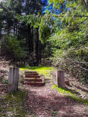 Mary Smith Campground