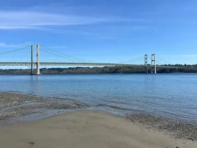 Tacoma Narrows Bridge from Narrows Park