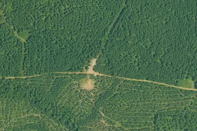Camp site