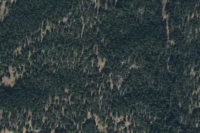Above Camp Ground