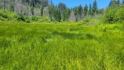 Aquila Vista Recreation Site