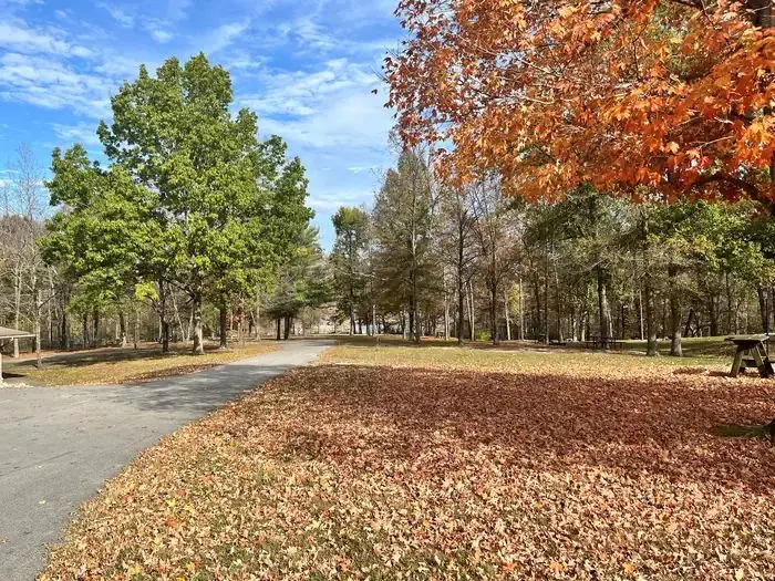North Fork (KY)