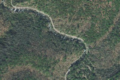Citico Creek Dispersed Campsites