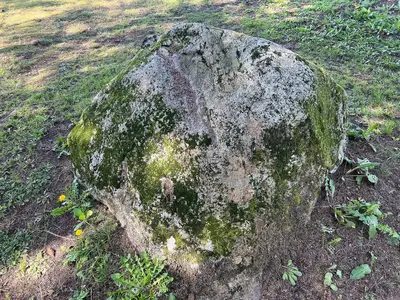 Boulder at SeaTac Rest Area on Interstate 5