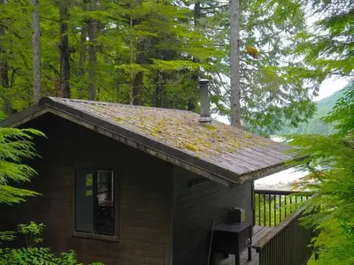 Frosty Bay Cabin scenery from behind the cabin with trees, a lake and mountains