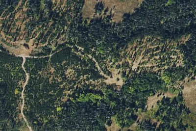 Camp site